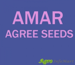AMAR AGREE SEEDS jamnagar india