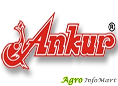 Ankur Seeds Pvt Ltd nagpur india