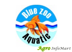 Blue Zoo Aquatic