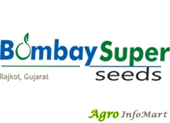 Bombay Super Hybrid Seeds Pvt Ltd  rajkot india