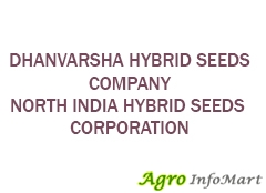 DHANVARSHA HYBRID SEEDS COMPANY NORTH INDIA HYBRID SEEDS CORPORATION sri ganganagar india
