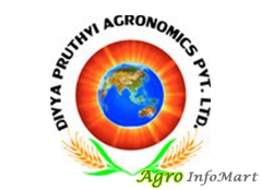 Divya Pruthvi Agronomics Pvt Ltd 
