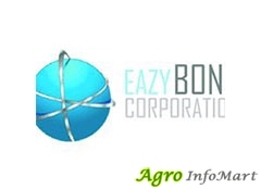 Eazy Bond Corporation