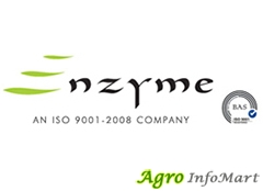 Enzyme India Private Limited chennai india