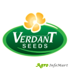 Verdant Seeds Chemicals Pvt Ltd  lucknow india