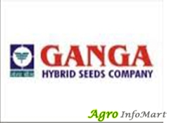 GANGA HYBRID SEEDS COMPANY ahmedabad india
