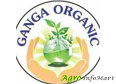 Ganga Orgo Fertilizer bhavnagar india