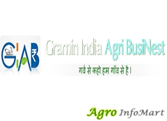 Gramin India Agri Businest indore india