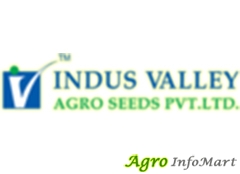 Indus Valley Agro Seeds Private Limited hyderabad india