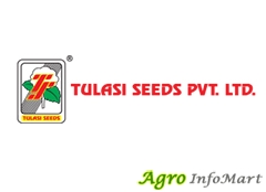 Tulasi Seeds Pvt Ltd guntur india