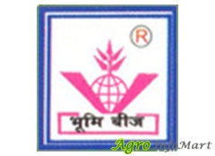 Vinayak Seeds Corporation ahmedabad india