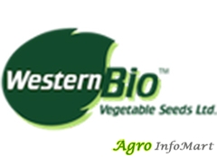 Western Bio Vegetable Seeds Pvt Ltd  gandhinagar india
