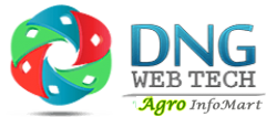 dng web developer ahmedabad india