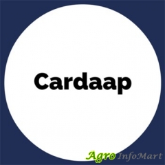 Cardaap Online Service Pvt LTD gurugram india