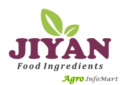 JIYAN FOOD INGREDIENTS bhavnagar india
