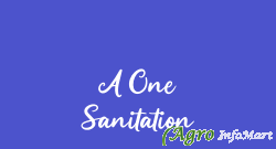 A One Sanitation delhi india