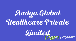 Aadya Global Healthcare Private Limited delhi india