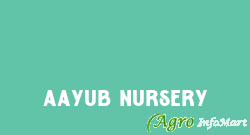 Aayub Nursery bangalore india