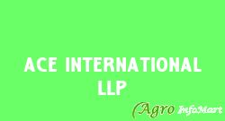 Ace International Llp delhi india