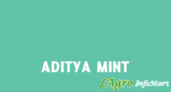 Aditya Mint mumbai india