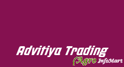 Advitiya Trading jaipur india