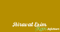 Airavat Exim ahmedabad india