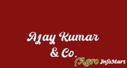 Ajay Kumar & Co. delhi india
