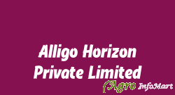 Alligo Horizon Private Limited nashik india