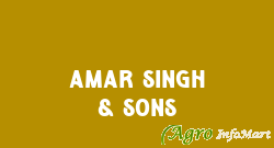 Amar Singh & Sons hoshiarpur india