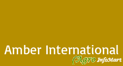 Amber International ludhiana india