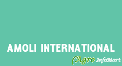 Amoli International delhi india