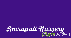 Amrapali Nursery lucknow india