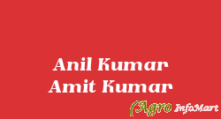 Anil Kumar Amit Kumar delhi india