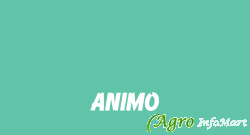 ANIMO mumbai india