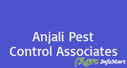 Anjali Pest Control Associates delhi india