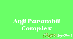 Anji Parambil Complex ernakulam india