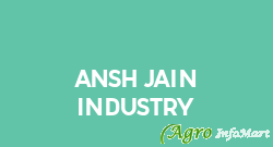 Ansh Jain Industry ludhiana india