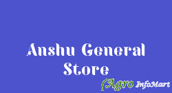 Anshu General Store delhi india