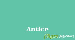 Antier