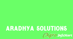 Aradhya Solutions delhi india