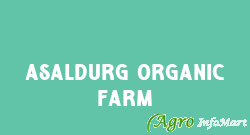 Asaldurg Organic Farm jaipur india