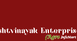 Ashtvinayak Enterprises delhi india