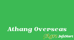 Athang Overseas nagpur india