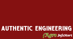 Authentic Engineering faridabad india