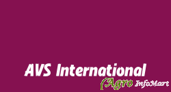 AVS International palwal india