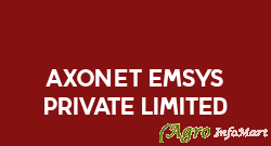 Axonet Emsys Private Limited pune india