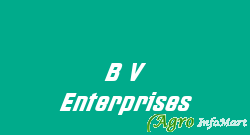 B V Enterprises