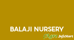 Balaji Nursery delhi india