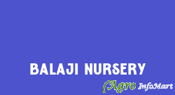 Balaji Nursery delhi india