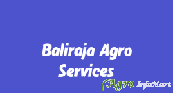 Baliraja Agro Services thane india